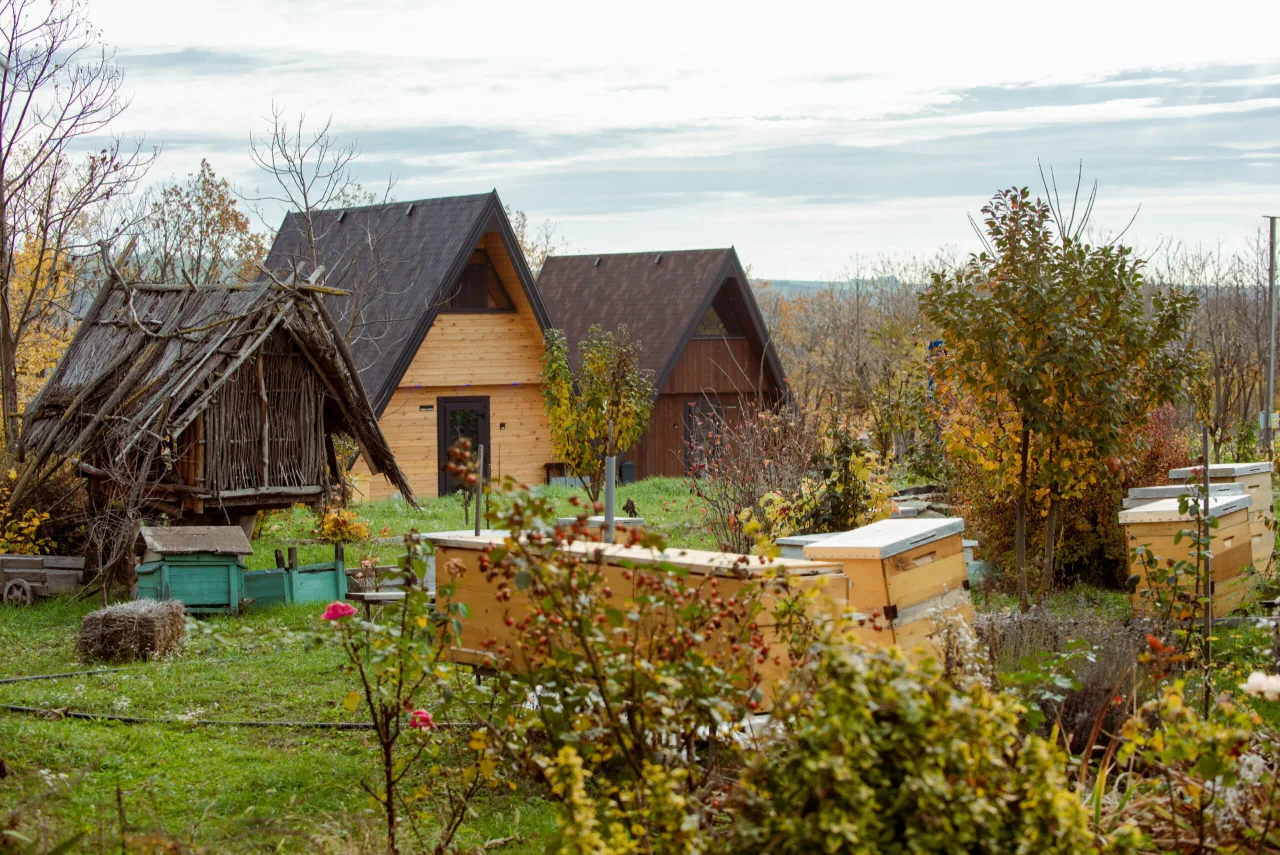 Fotografie: Saharna - Țiglău