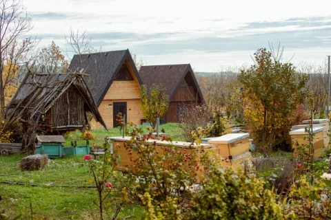 Fotografie: Saharna - Țiglău