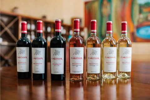 Fotografie: CARLEVANA Winery