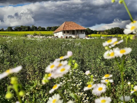 Fotografie: Curtea Țărănească