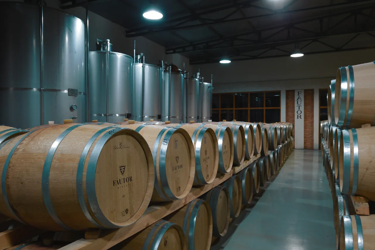 Fotografie: Fautor Winery