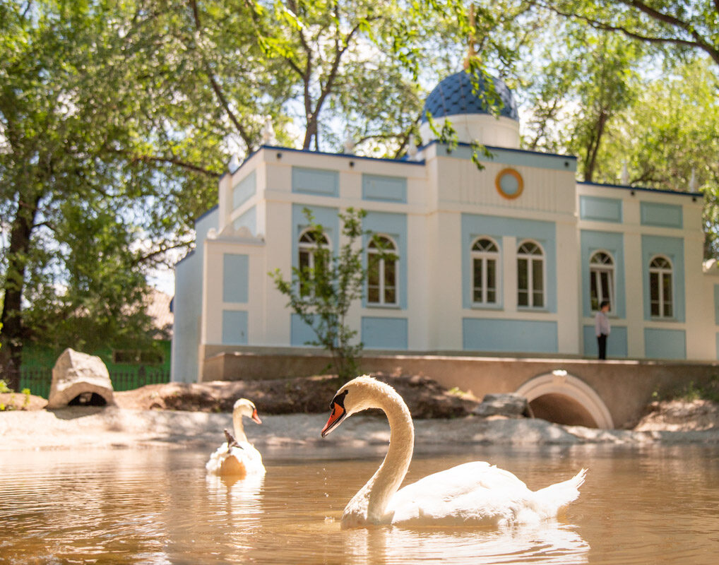 Photo of D.K. Rodin Park
