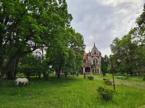 Fotografie: Parcul Țaul