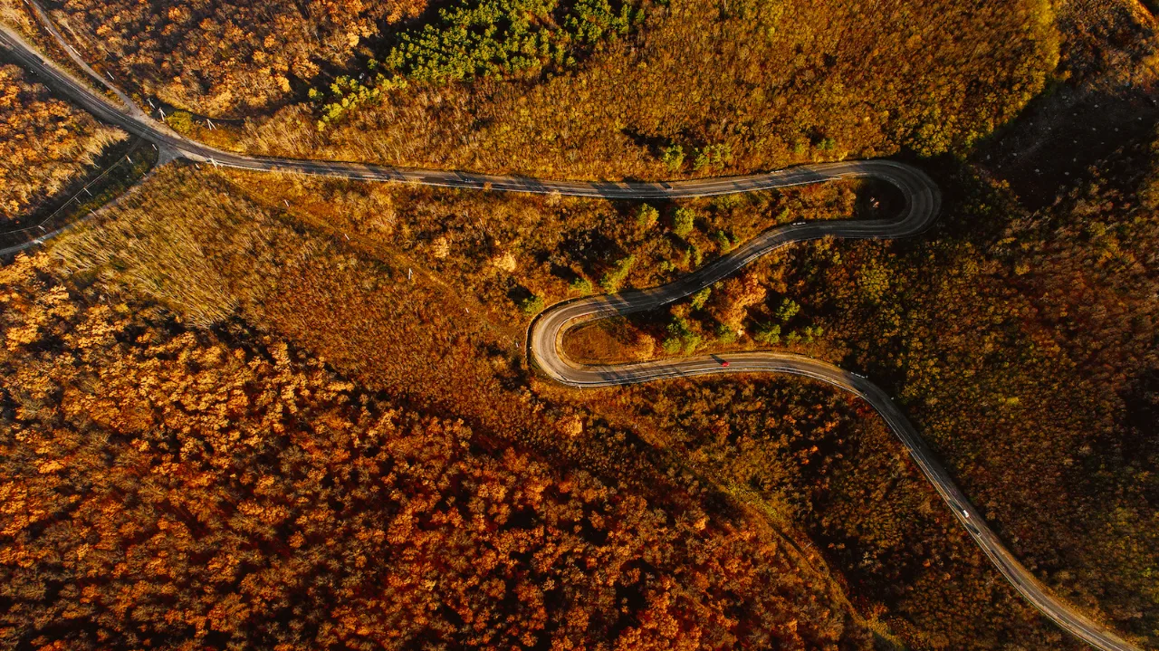 Fotografie: Rezervația naturală “Plaiul Fagului”