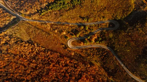 Fotografie: Rezervația naturală “Plaiul Fagului”