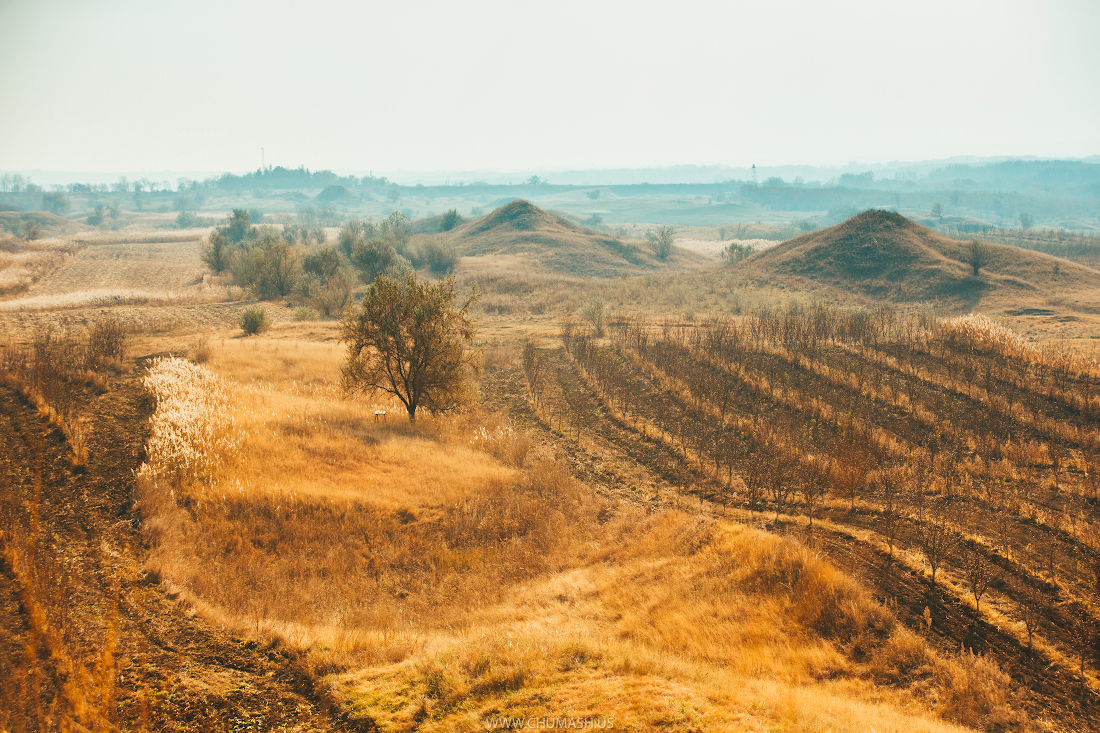 Fotografie: Suta de movile - La întâlnire cu strămoșii noștri geți