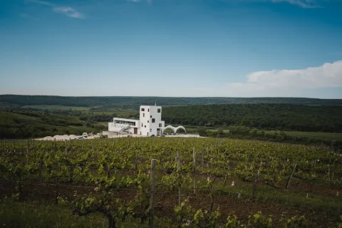 Fotografie: Vinăria Poiana