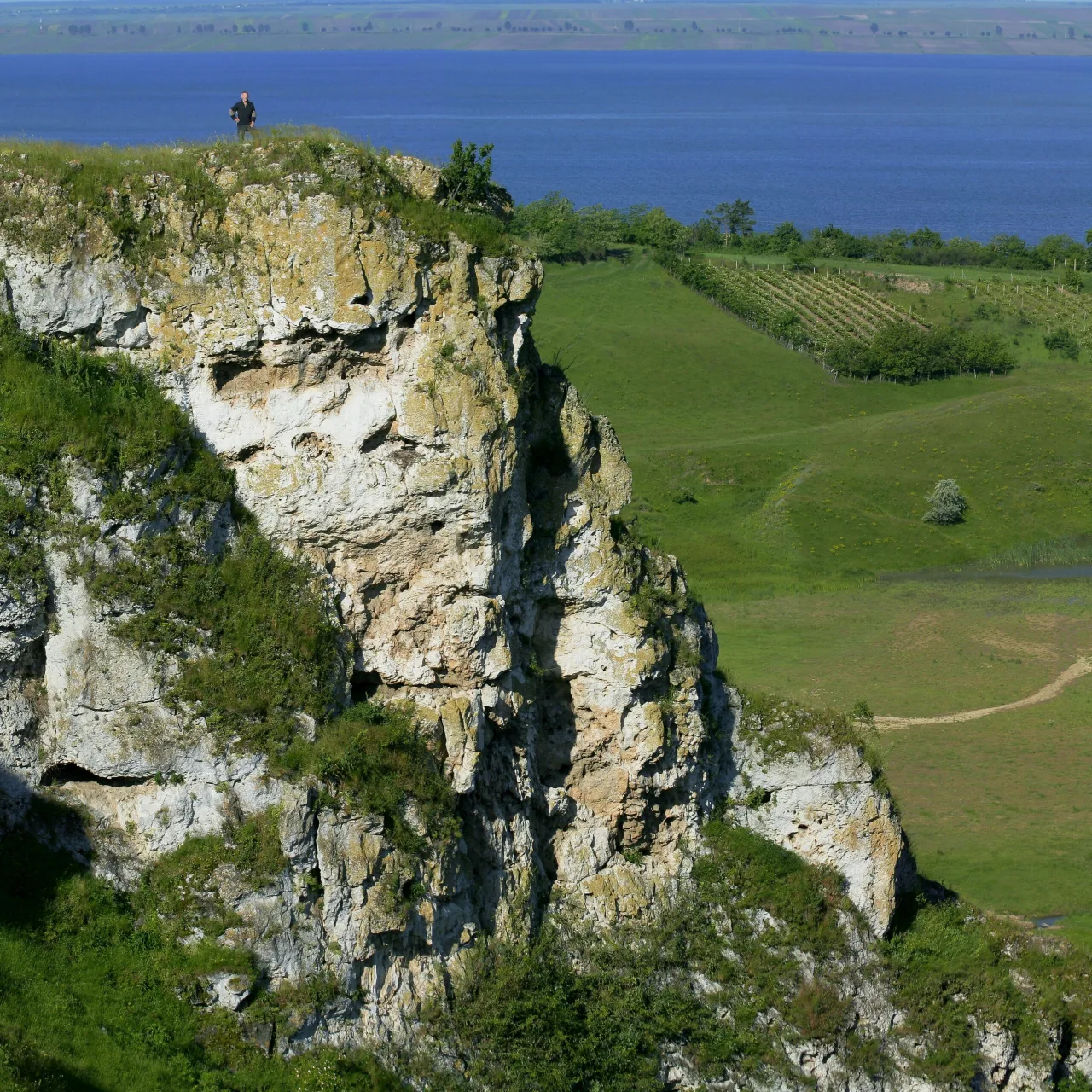 Duruitoarea, Moldova