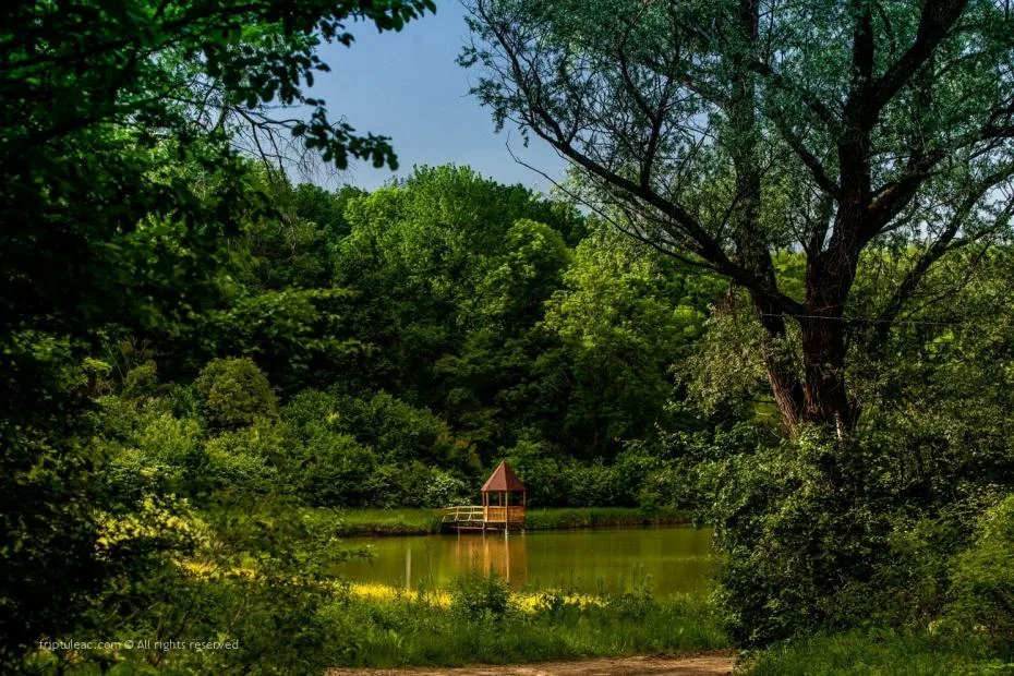 Beautiful Moldova: Exploring Stunning Natural Landscapes – 8