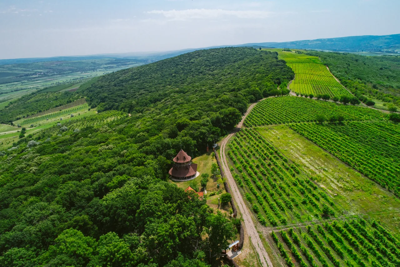 Trasee de drumeție în apropierea vinăriilor mici din Moldova